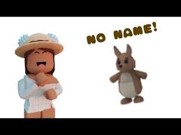 How To Add No Name On A Pet Or Avatar In Adopt Me Roblox Youtube Roblox Adoption Avatar