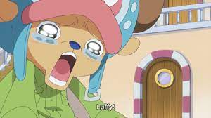 Chopper cries - One Piece Episode 784 | One piece episodes, Anime one, Anime