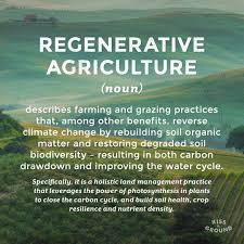 Regenerative Agriculture Definition In The Making Published By The Carbon Underground In Partnership With Man No Till Farming Sustainable Farming Soil Health