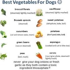 Best Vegetables For Dogs Make Dog Food Vegan Dog Food