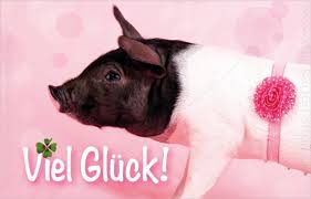 Minikarte Gluckwunschkarte Susses Schwein Mit Glucksklee Viel Gluck Minikarten Kategorien Karten Fur Alle Anlasse Der Karten Shop De Tierisch Gute Gluckwunschkarten Postkarten Und Geschenkartikel