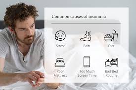 Image result for Insomnia Causes