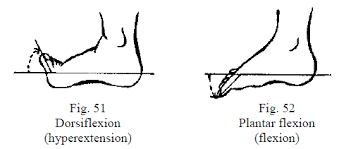 Wisconsin Workers Compensation How To Evaluate Permanent