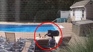 usa bar uberrascht schlafenden mann am pool der reagiert genau richtig stern de