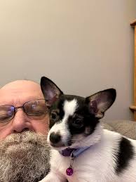 Introduction to Laughlin Buzz group