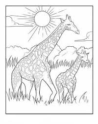 Omeletozeu Giraffe Coloring Pages Giraffe Colors Animal Coloring Books