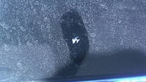 Cara Mudah Dan Murah Bersihkan Jamur Kaca