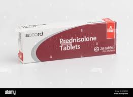 Image result for Prednisolone
