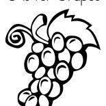 Coloring with vigor stories & rhymes exploration english maths puzzles. Grapes For Raisins Coloring Pages Color Luna