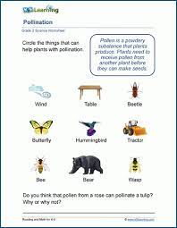 Science worksheets for grade 2. Science Worksheets For Grade 2 Students K5 Learning