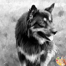 Black And White German Shepherd Painting A German Shepherd Portrait In Black And White 513 Dog Portraits German Shepherd Painting German Shepherd Dogs
