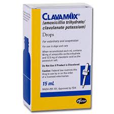 Cats may use methimazole for different lengths of time. Heartlandvetsupply Com Cat Pharmacy A Z