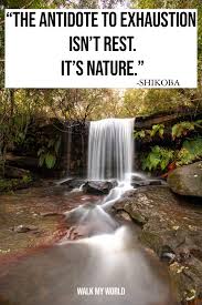 Love quotes that will melt your heart. 100 Nature Captions Which Are Perfect For Your Instagram Pics Walk My World