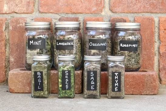 How to Dry Herbs?