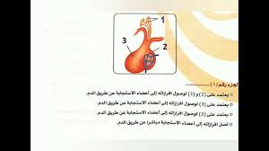 الصفحة الرئيسيةالإمتحانات التفاعليةالاختبار الالكتروني علي التنسيق الهرموني للثانويه العامه الجزء الثالث 2021 حسن محرم. Ø§Ù„ØªÙ†Ø³ÙŠÙ‚ Ø§Ù„Ù‡Ø±Ù…ÙˆÙ†ÙŠ Ø­Ù„ Ø§Ø³Ø¦Ù„Ø© ÙƒØªØ§Ø¨ Ø§Ù„Ù…Ø±Ø¬Ø¹ Ø§Ù„Ù…Ø±Ø§Ø¬Ø¹Ø© Ø§Ù„Ù†Ù‡Ø§Ø¦ÙŠØ© Youtube