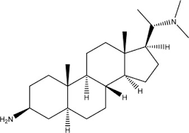 Image result for Strophanthus welwitschii