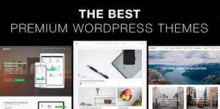 All of these and more. The Best Premium Wordpress Themes Of 2019