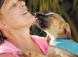 Finding homes for potcakes easy as pie