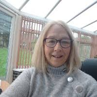 Vian Ali Email & Phone Number