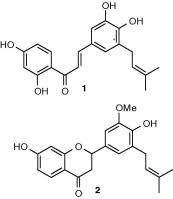 Image result for Erythrina sacleuxii