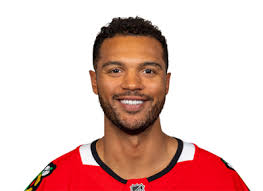 Trade Analysis: Seth Jones for Thomas Chabot