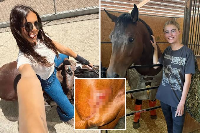 Obsessive' teen girl allegedly stabs three horses at Las Vegas barrel racing event — as grisly photos emerge