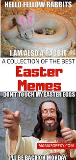 Sunday meme dump (funny memes) funny cats and cute animals pictures memes and humor to give you that sunday laught. A Collection Of The Best Easter Memes Mama S Geeky