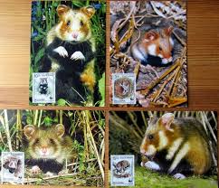 Quercetin as a lyn kinase. 12 Animals On Stamps Ideas In 2021 Stamp Animals Cyprus