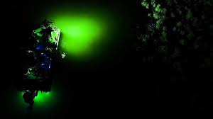 Do Underwater Fishing Lights Actually Attract Fish Tips