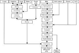 Milk And Dairy Products Vectors To Create Probiotic