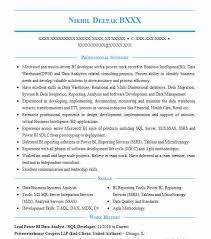 sql bi/power bi developer resume
