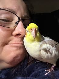 Anyone Burringham/keadby/althorpe way lost a green large parrot? Was seen  earlier in Burringham, currently flying about in Althorpe.