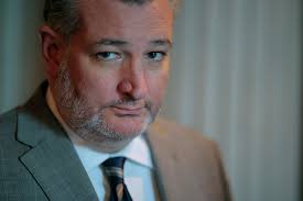 Texas dolphin freed after days trapped in shallow bay