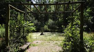 Gartens kleinanzeigen in schwedt (oder) bei markt.de. Schwedt Liebessohlen Auenblicke Und Die Verborgene Dimension Wegesammler Brandenburg Reportagen