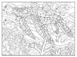 One example of printable paint by numbers is a butterfly coloring picture. Creative Haven Sea Life Paint By Number Creative Haven Coloring Books George Toufexis Amazon De Bucher