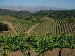 With over 10 years of testing, 100+ patents, and 100,000+ r&d hours, fortera is ready for market. Calera Wine United States California Hollister Kazzit Us Wineries International Winery Guide