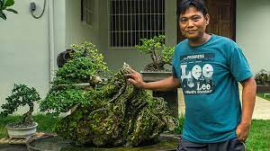 This Bonsai Lover Multiplied His Farm Investments Fivefold