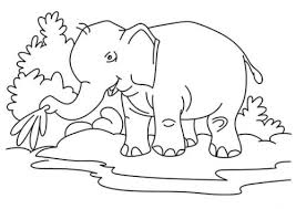 One the answer is the elephant. 32 Free Elephant Coloring Pages Printable