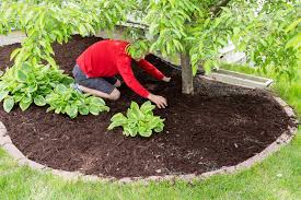 Die blätter der herbstzeitlosen erscheinen im frühjahr und ähneln dem bärlauch. So Wird Der Garten Fruhlingsfit Schritt Fur Schritt Zum Bunten Gesamtbild