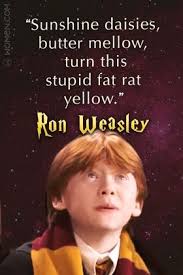 Sunshine Daisies Butter Mellow Turn This Stupid Fat Rat Yellow Rap 15 Memorable Quotes From Harry Potter The Sorcerer S Stone Harry Potter Quotes Harry Potter Memes Ron Weasley