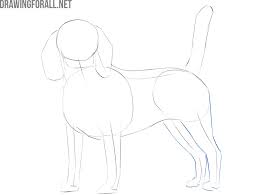 How to draw a realistic dog step by step? How To Draw A Realistic Dog