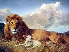 Us, postage son no n & lion ministries p.o. 38 Lion And Lamb Ideas Lion And Lamb Lamb Lion