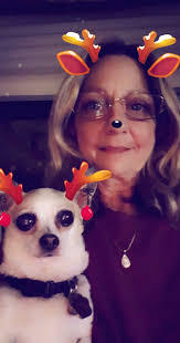 Merry Christmas 🎄🐾 love lives in small paws.”