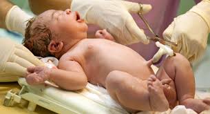 The decision to bank the unit will depend upon specific measures of graft potency. Cord Blood Banking What It Is Why Consider It Babycenter