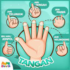 What does jari kelingking mean in english? Mari Menghafal Nama Jari Jari Di Tangan Anakrbilian Pendidikan Tubuhmanusia Sekolahdasar Kelas Sekolahdasar Jari Tengah Sekolah Dasar Jari Manis