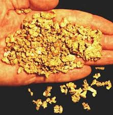 To detect these gold nuggets, specialized metal detectors designed exclusively for gold ores. Http Findinggold Org Gold Nugget Gold Specimens Gold Bullion