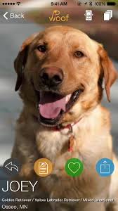 Find and adopt a pet on petfinder today. Pet Adoption Apps For Ios