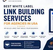 Best White Label Link Building Services for Agencies in USA