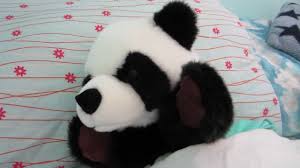 High school dropout from Lombard now an acclaimed writer