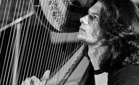 Gŵyl delynau yn “amhrisiadwy”